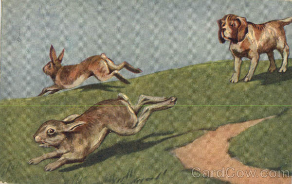 Hound Hunting Rabits Scene Ludingtonville New York
