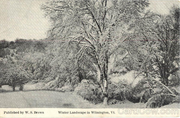 Winter Landscape in Wilmington Vermont