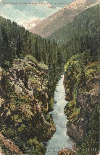 Box Canyon above Wallows Falls La Grande Oregon