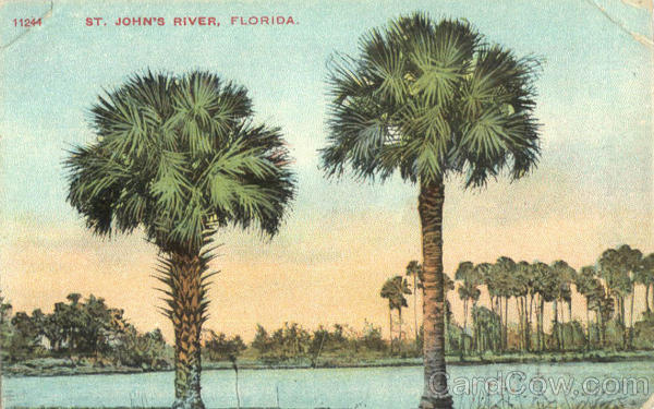 St. John's River Scenic Florida