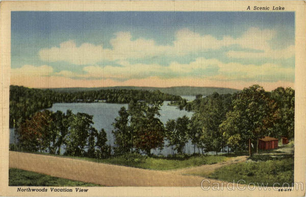 A Scenic Lake and Cottage View