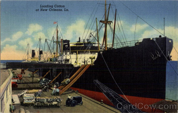 Loading Cotton New Orleans Louisiana