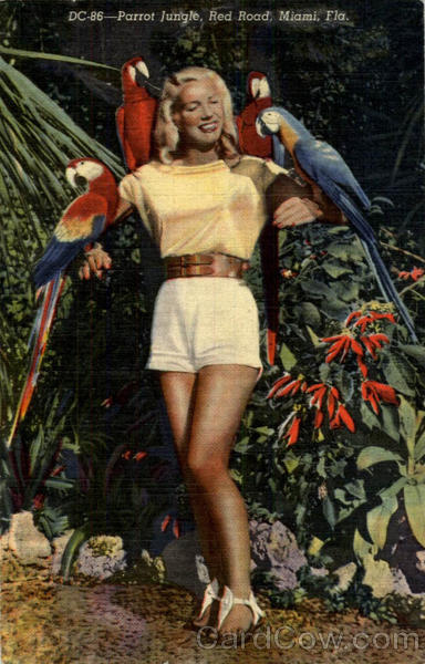 Parrot Jungle, Beautiful Woman w/Parrots Miami Florida