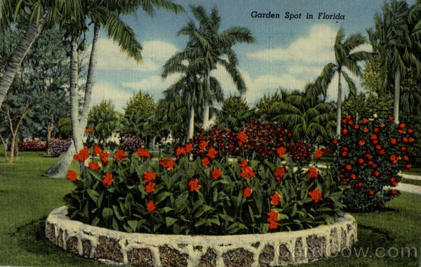 Garden Spot in Florida Orlando