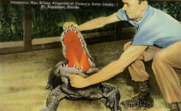 Man Killing Alligators at Casper's Gator Jungle St. Augustine Florida