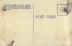 back