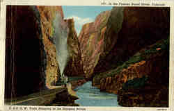 In the Famous Royal Gorge, Colorado Postcard