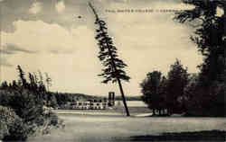 Paul Smith's College - Leaning Pine Postcard
