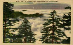 A Sea of Clouds Postcard