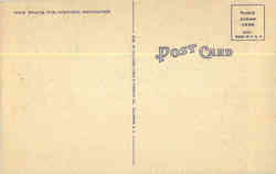 back