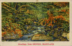 Greetings from Denton Postcard