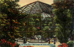 St. Louis Zoo Bird Cage Postcard