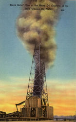 One of Many Oil Gushers Oil Wells at Rich Odessa Oil Field Postcard