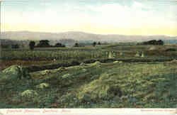 Deerfield Meadows Postcard
