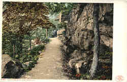 Flirtation Walk Postcard