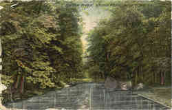 Bronx River Bronx Park Postcard