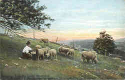 Greetings from the Green Mountains, sheep, shephard Postcard