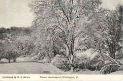 Winter Landscape in Wilmington Postcard