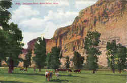 Palisades Park Postcard
