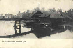 Gap for Sorting Logs Postcard