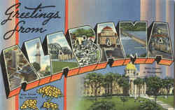Greetings from Alabama Postcard Postcard