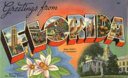 Greetings from Florida Postcard