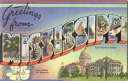 Greetings from Mississippi Postcard Postcard