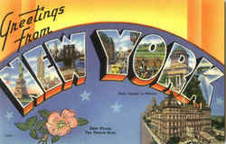 Greetings from New York Postcard Postcard