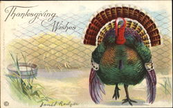 Thanks Giving Wishes Postcard