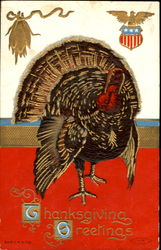 Thanksgiving Greetings Postcard