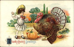Thanksgiving Greetings Postcard