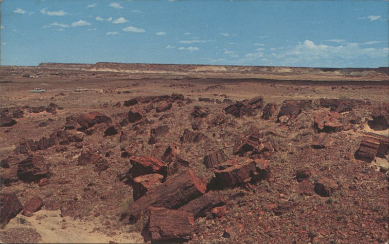 Petrified Forest National Park, Northern Arizona L. O. Candelaria