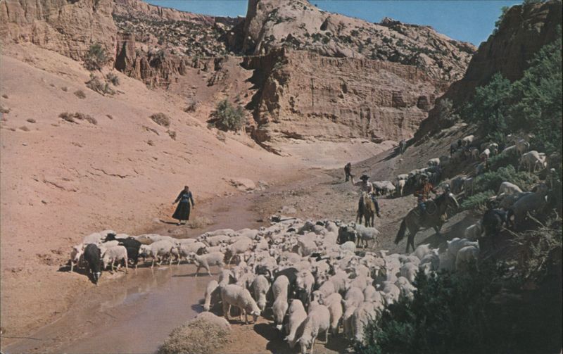 Navajo Indians and their Sheep Bob Bradshaw Native Americana