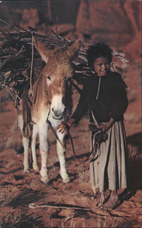 Navajo Lass and Her Burro Jack Breed Native Americana