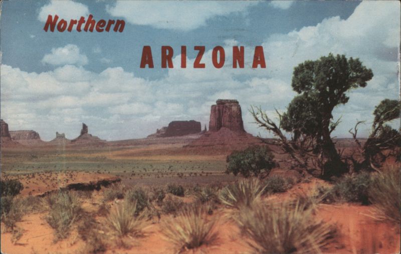 Northern Arizona Jack Breed
