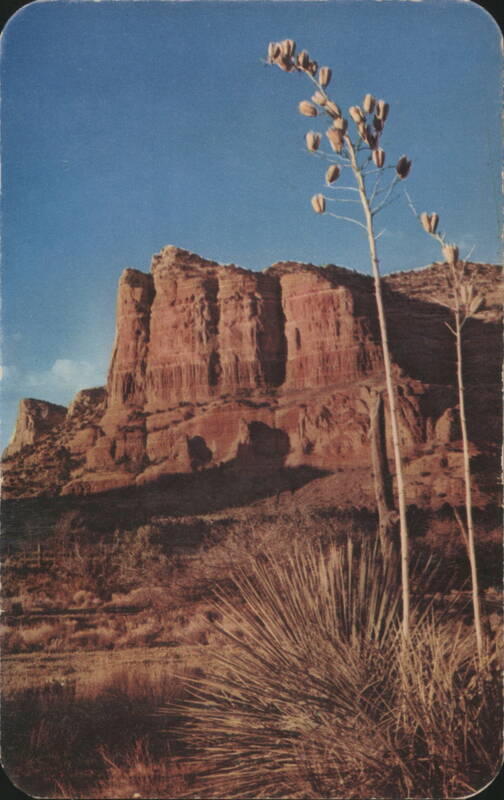 Colorful Cliffs of Oak Creek Canyon Ray Manley Cactus & Desert Plants