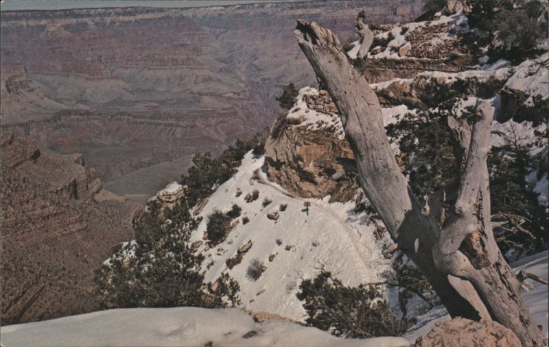 Bright Angel Trail, Grand Canyon in the Winter Rollie F. Houck