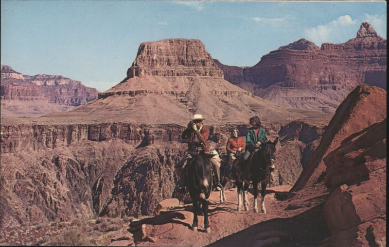 Mule-Train on the Kaibab Trail, Grand Canyon Grand Canyon National Park Arizona