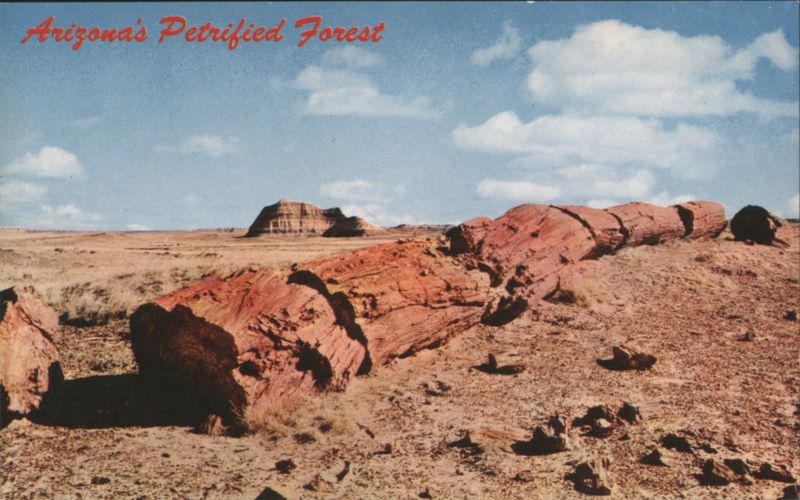 Arizona's Petrified Forest Petrified Forest National Park