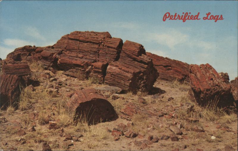 Petrified Logs Petrified Forest National Park Arizona