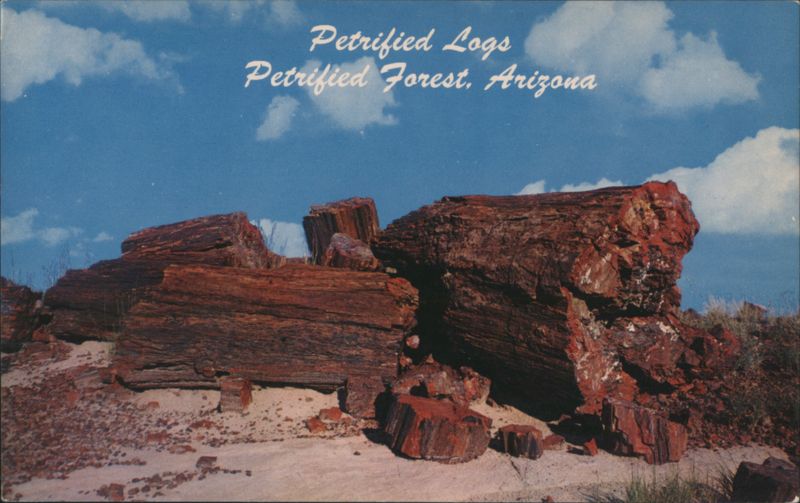 Petrified Logs, Petrified Forest, Arizona