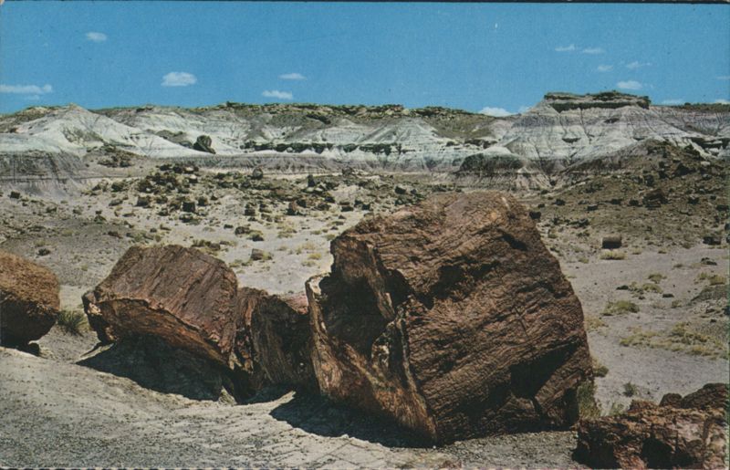 Petrified Logs in Jasper Forest, Petrified Forest National Park Arizona