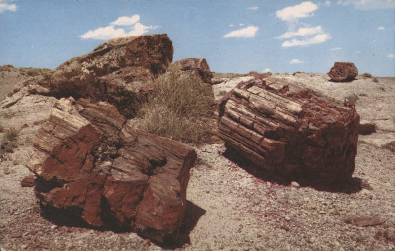 Petrified Logs, Petrified Forest National Monument Arizona