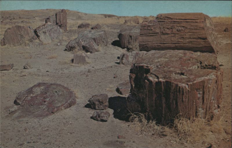 Crystal Forest, Petrified National Forest Arizona Rollie F. Houck