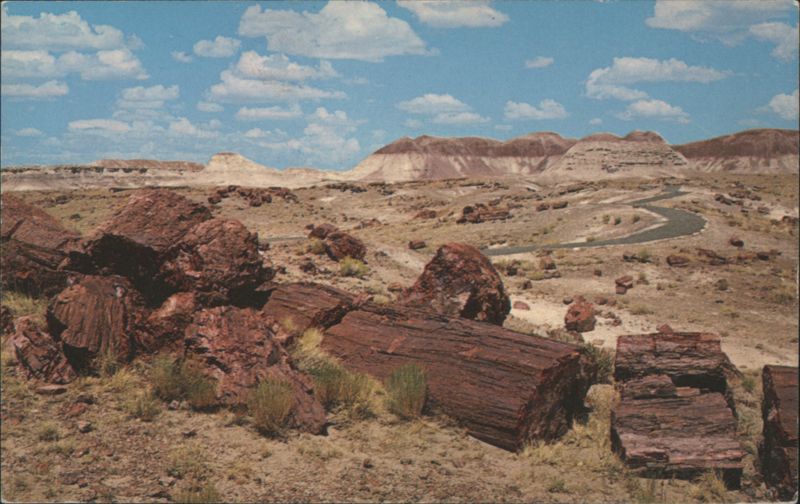 Long Logs, Petrified Forest National Park Arizona