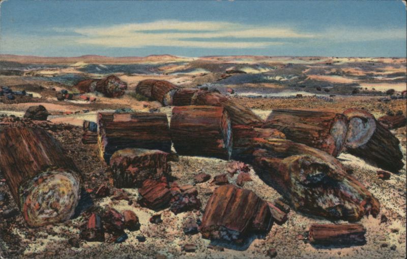 Cross Section of Petrified Logs, Petrified Forest Petrified Forest National Park Arizona