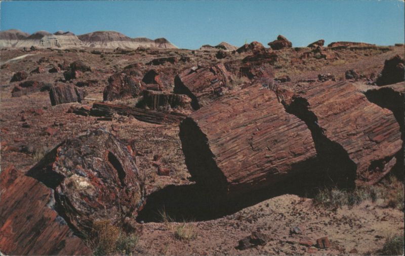 Logs in the Third Forest, Petrified Forest National Park, Arizona