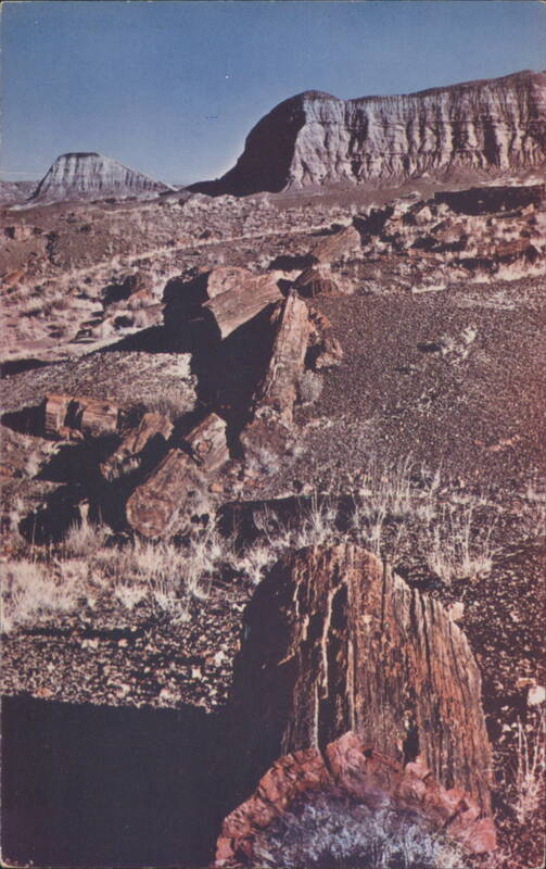Petrified Forest, Arizona Mike Roberts