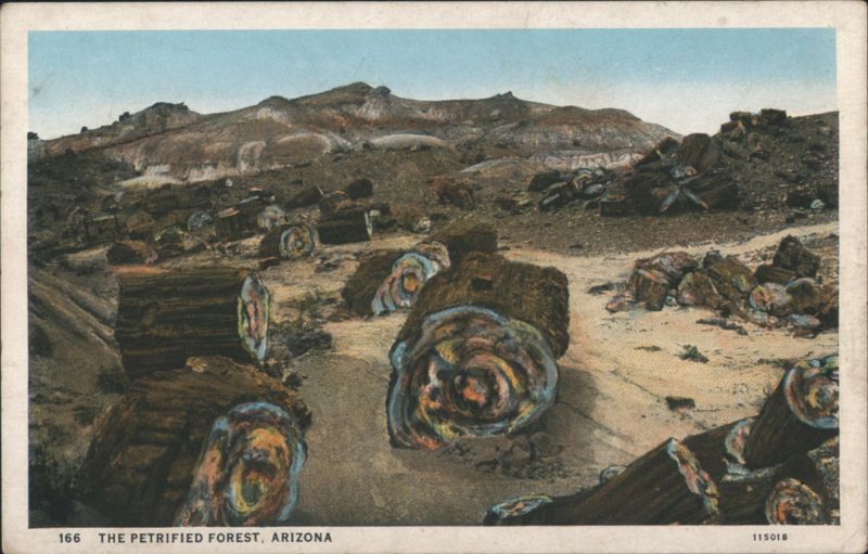 The Petrified Forest, Arizona Holbrook