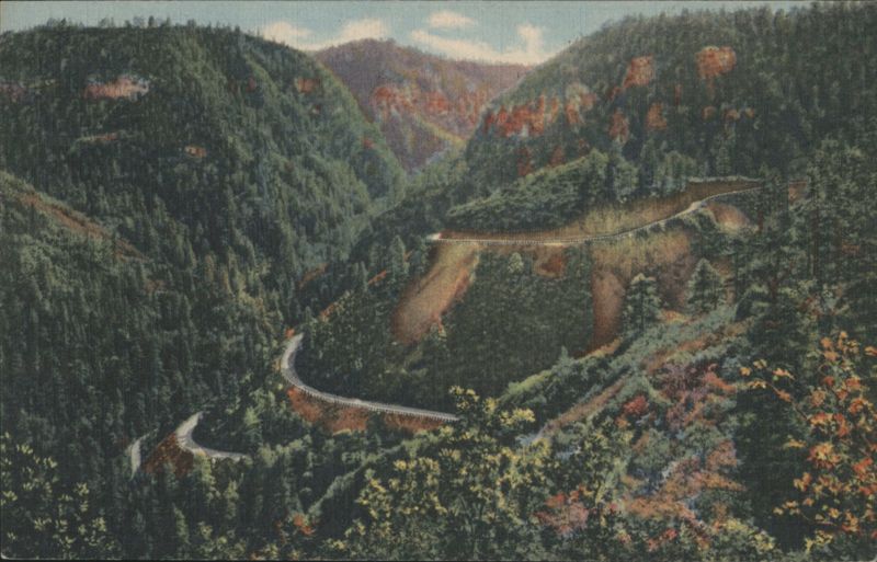 In Oak Creek Canyon, Arizona